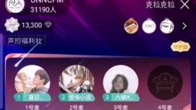 配音爆料羊仔怎么做的视频,视频制作背后的技巧与心得